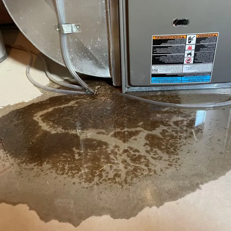 Pipe Burst and Leak Restoration in Urbandale, IA