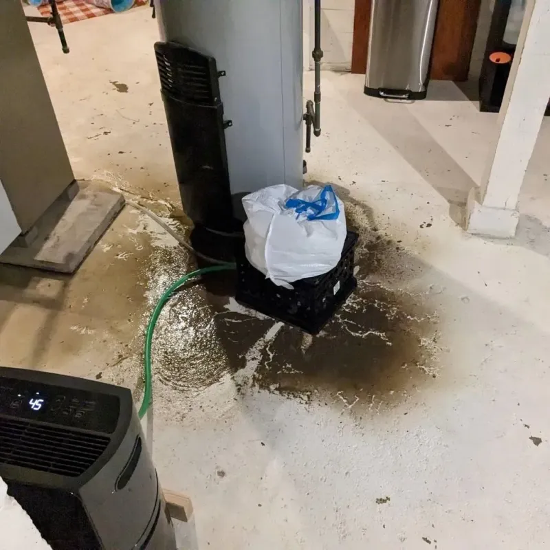Sewage Backup Cleanup Service in Urbandale, IA